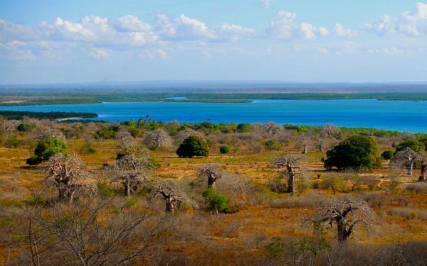 Pemba Bay in Cabo Delgado, Mozambique. Photo courtesy F Mira